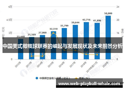 中国美式橄榄球联赛的崛起与发展现状及未来前景分析